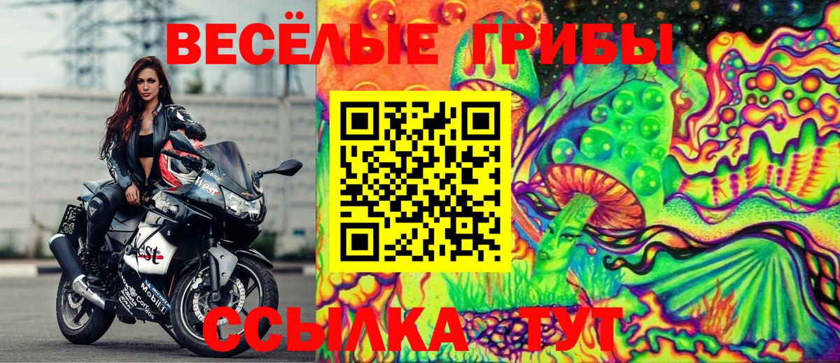 Cocaine  ГАШ  Вход с VPN  Кудымкар  Меф МЯУ МЯУ   A PVP СОЛЬ кристаллы  ЭКСТАЗИ  Лсд 25  Гашиш  МАРИХУАНА 