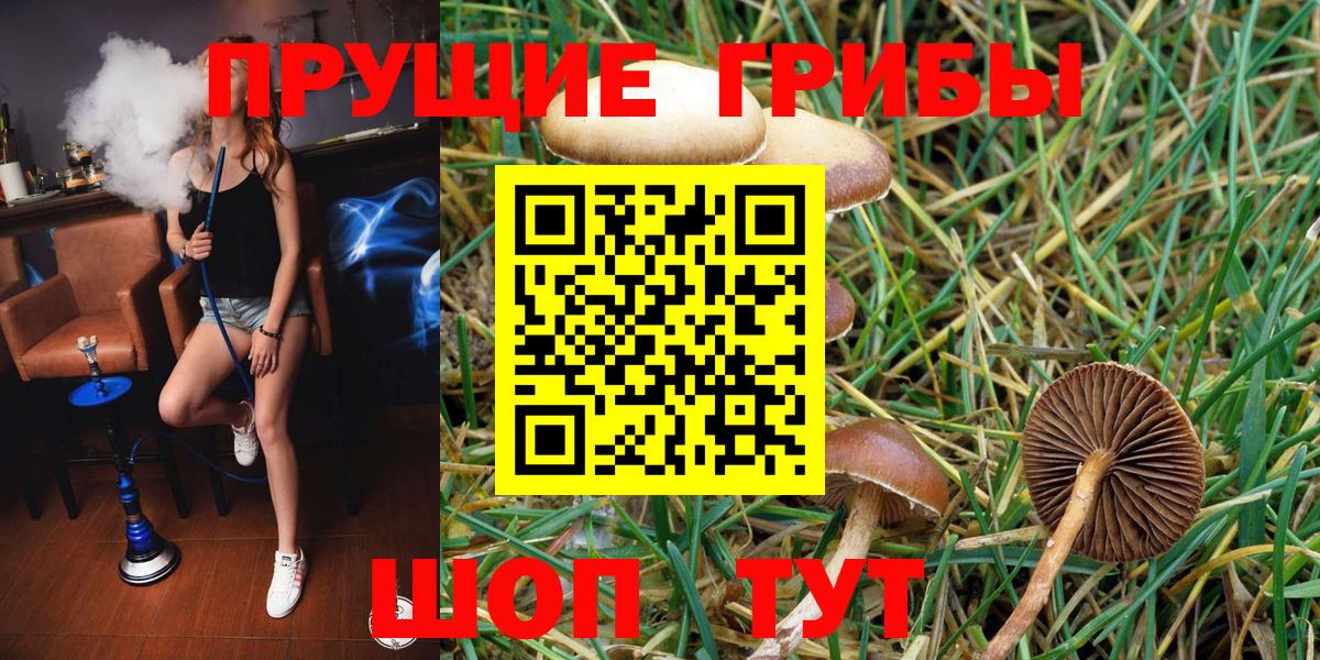 цена наркотик  Псилоцибиновые грибы Magic Shrooms  Вход с VPN  Галлюциногенные грибы MAGIC MUSHROOMS  Кудымкар 