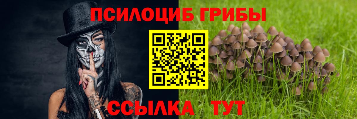Галлюциногенные грибы прущие грибы Кудымкар