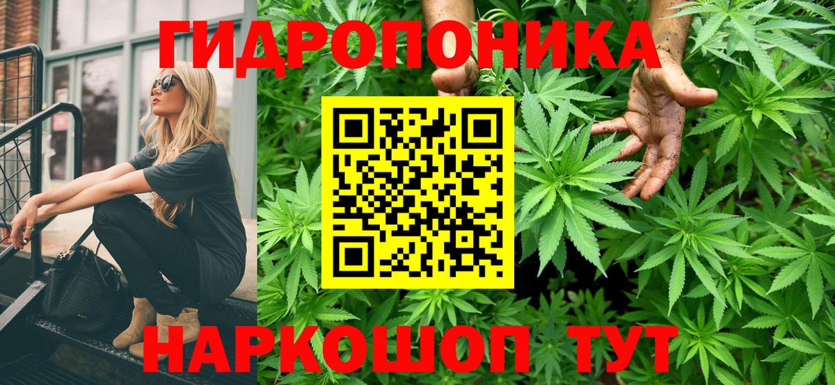Канабис Amnesia  Канабис марихуана  Вход с VPN  Кудымкар  Каннабис Bruce Banner 
